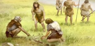 Excavations Revealed Evidence That Early Humans Lived In Britain More Than 700,000 Years Ago