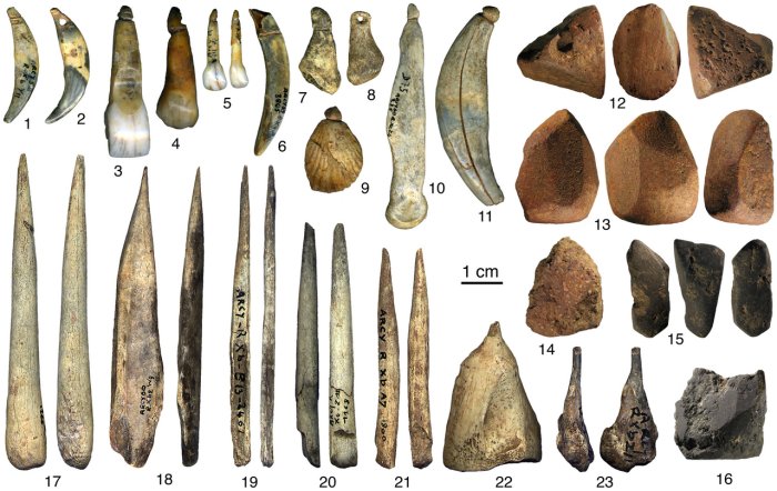 42,000-Year-Old Shell Jewelry Workshop Unearthed At The Paleolithic Site In France
