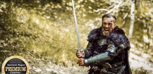 Enigma Of The Unusual Forest In Disguise