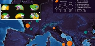 42,000-Year-Old Shell Jewelry Workshop Unearthed At The Paleolithic Site In France