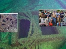 Long-Lost Wisconsin Ghost Ship F.J. King Finally Found