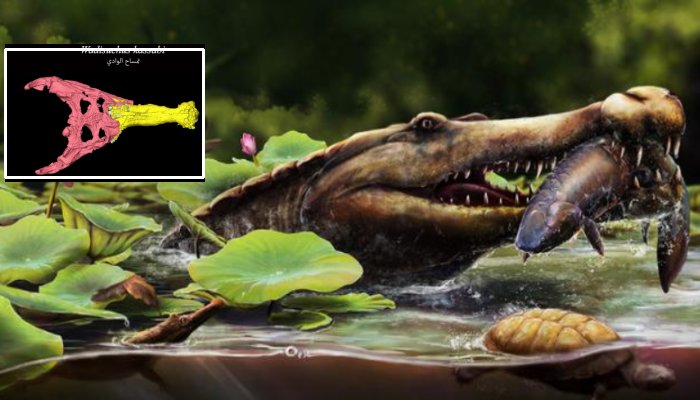 Earliest Long-Snouted Fossil Crocodile From Egypt Reveals African Origins Of Seagoing Crocs