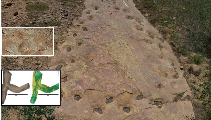 Ouray In Colorado – Looping Long-Necked Dinosaur Site Reveals Its Secrets