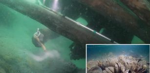 Historic Cargo Ship Mado 4 Loaded With Treasures Recovered From The Seabed Off Taean, South Korea