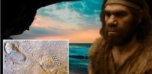 80,000-Year-Old Neanderthal Footprints Discovered On The Algarve Coast In Portugal