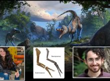 Nanotyrannus Confirmed: Dueling Dinosaurs Fossil Rewrites The Story Of T. Rex