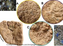 Europe's Oldest Blue Pigment, Found On A 13,000-Year-Old Stone In Germany, Offers New Insight Into Paleolithic Art