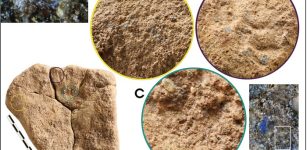 Europe's Oldest Blue Pigment, Found On A 13,000-Year-Old Stone In Germany, Offers New Insight Into Paleolithic Art
