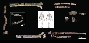 Oldest And Most Complete Skeleton Of 'Homo Habilis' Offers New Insight Into The Evolution Of Early Humans
