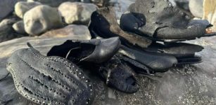 Hundreds Of Mysterious Old Leather Shoes Discovered At Beach In Wales, UK