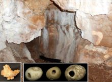 Northern Britain’s Oldest Human Remains Discovered At Heaning Wood Bone Cave In Cumbria