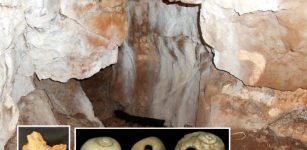 Northern Britain’s Oldest Human Remains Discovered At Heaning Wood Bone Cave In Cumbria