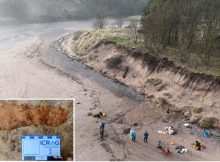 Rare 2,000-Year-Old Footprints Discovered On A Beach In Angus, Scotland