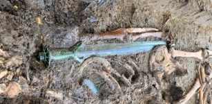 Remarkable 3,400-Year-Old Octagonal Bronze Sword: Experts Call It A Masterpiece Of Craftsmanship