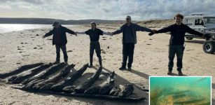 Historic Swash Channel Shipwreck Discovered At Studland Bay, Dorset, UK