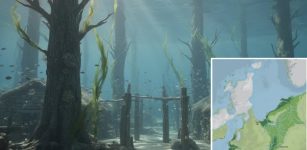 Doggerland’s Secrets Revealed: Evidence Of An Ice Age Forest Beneath The North Sea