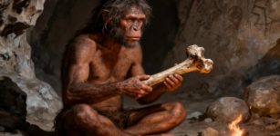 Intriguing Fossil Found At Old Excavation Site Could Rewrite Human Evolution, Scientists Say