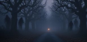 One Of The Most Mysterious And Foreboding Places In New Jersey - Do You Dare To Visit At Night?