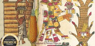 Centeotl: Lord Of Maize Who Was Revered Before The Olmecs By All Mesoamerica's Inhabitants