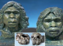 New Findings Rewrite Our Understanding Of Early Hominin Dispersal From Africa To Eurasia