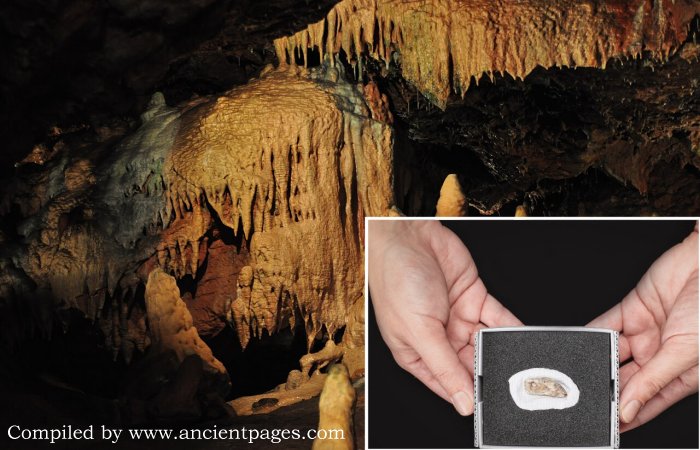 Rare 15,000-Year-Old Artifact Found In Kents Cavern Has A Fascinating Story To Tell