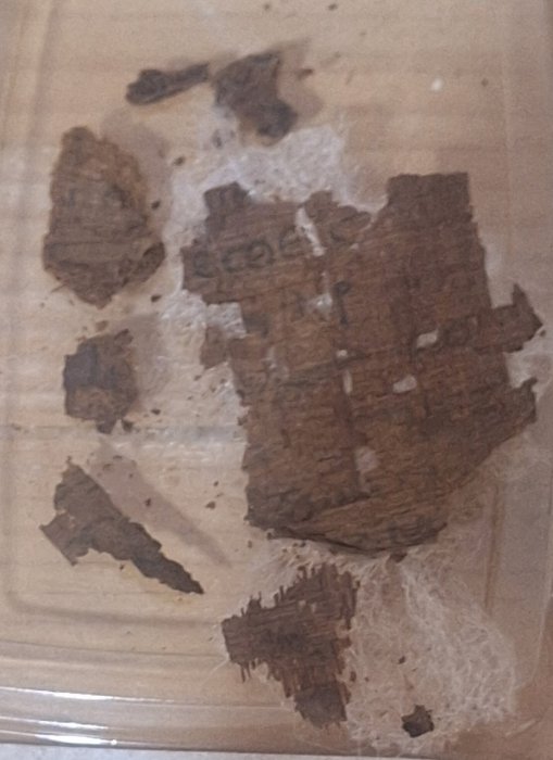 Strange Discovery: Fragment Of Homer’s Iliad Hidden Inside Ancient Mummy