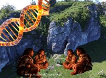 Genetic Profile Of Neanderthals Who Lived 100,000 Years Ago In Stajnia Cave, Poland, Reconstructed