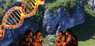 Genetic Profile Of Neanderthals Who Lived 100,000 Years Ago In Stajnia Cave, Poland, Reconstructed