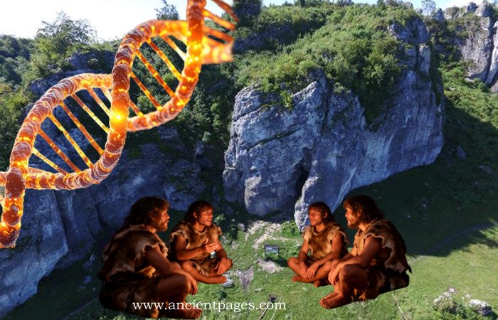 Genetic Profile Of Neanderthals Who Lived 100,000 Years Ago In Stajnia Cave, Poland, Reconstructed