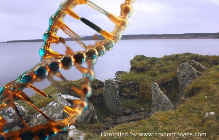 Huge Scottish Neolithic Tombs Were Built To Trace Kinship And Lineages Over Centuries - Ancient Pages