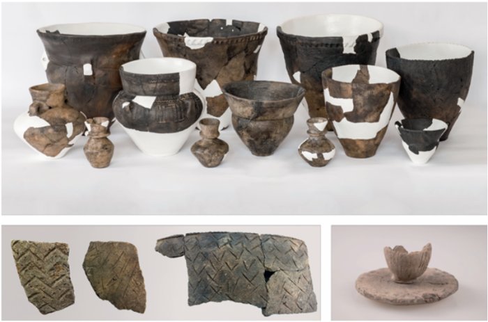 Secret Female Societies In Neolithic Europe Enjoyed Lactose-Free Milk During Funerary Rituals