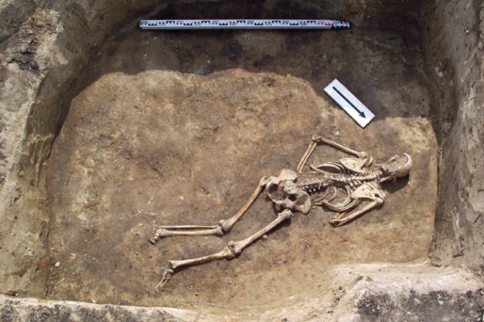 Secret Female Societies In Neolithic Europe Enjoyed Lactose-Free Milk During Funerary Rituals