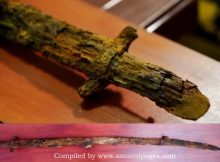 Giant 13th-Century Warrior's Saber Unearthed Near Astrakhan