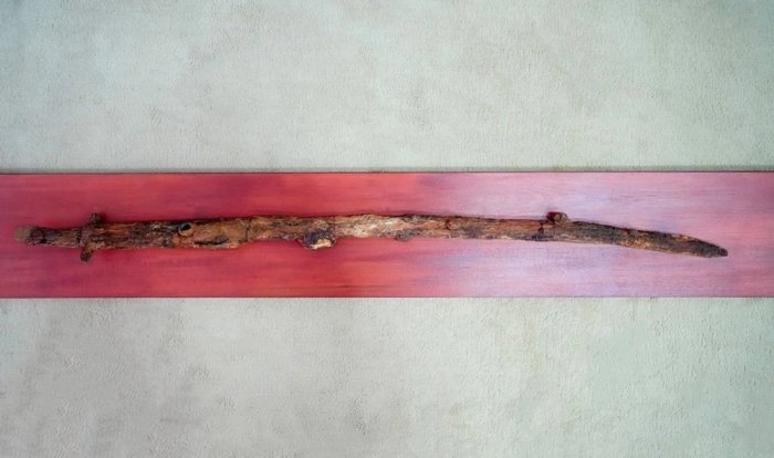 Giant 13th-Century Warrior's Saber Unearthed Near Astrakhan 