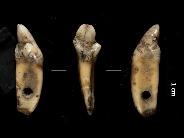 Why Were These Green Stones Hidden In A Cave In The Pyrenees 5,500 Years Ago?