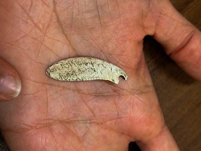 Why Were These Green Stones Hidden In A Cave In The Pyrenees 5,500 Years Ago?