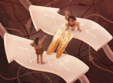 New Clues About A Potential Connection Between East Asian H. erectus And Denisovans