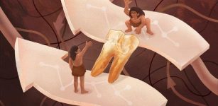 New Clues About A Potential Connection Between East Asian H. erectus And Denisovans