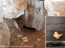 Oldest Human Remains In Northern Britain, Belonging To An 11,000-Year-Old Female Child, Discovered At Heaning Wood Bone Cave in Great Urswick, Cumbria,
