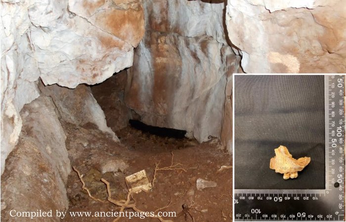 Oldest Human Remains In Northern Britain, Belonging To An 11,000-Year-Old Female Child, Discovered At Heaning Wood Bone Cave In Great Urswick, Cumbria
