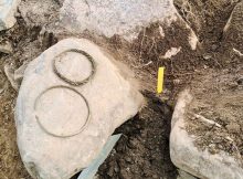 Unusual Bronze Age Neck Rings Discovered In Norrköping, Sweden