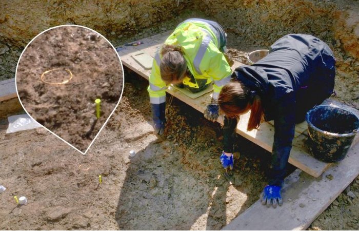 Extraordinary Celtic Princely Grave With Rare Golden Artifacts And Chariot Discovered Near Bad Camberg, Germany