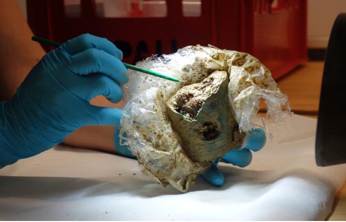 Extraordinary Celtic Princely Grave With Rare Golden Artifacts And Chariot Discovered Near Bad Camberg, Germany