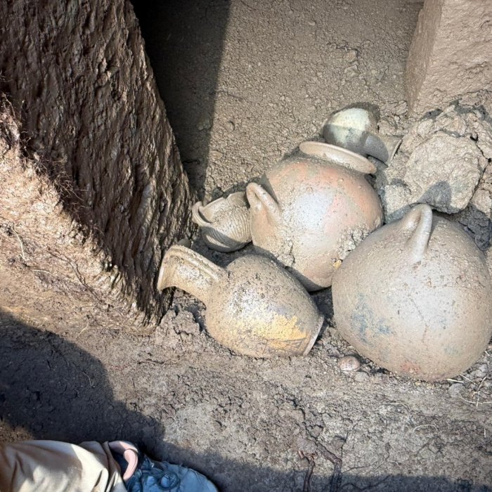 Rare Sealed Etruscan Tomb Unearthed At The San Giuliano Necropolis