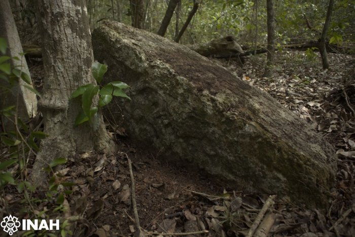 Intact Ancient Maya City Minanbé Discovered In The Campeche Jungle, Mexico