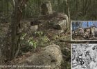 Intact Ancient Maya City Minanbé Discovered In The Campeche Jungle, Mexico