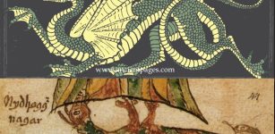 Nidhogg - Dreadful Winged Corpse-Eating Dragon Who Is Enemy Of Asgard And Yggdrasil Tree