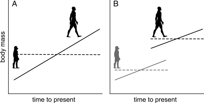 Biggest Jump In Body Size Among Our Ancestors Happened Around 2 To 2.5 Million Years Ago