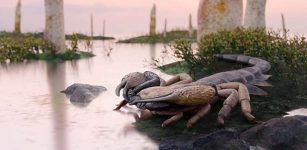 Praearcturus Gigas: The Biggest Scorpion Ever Revealed By 415-Million-Year-Old Fossils