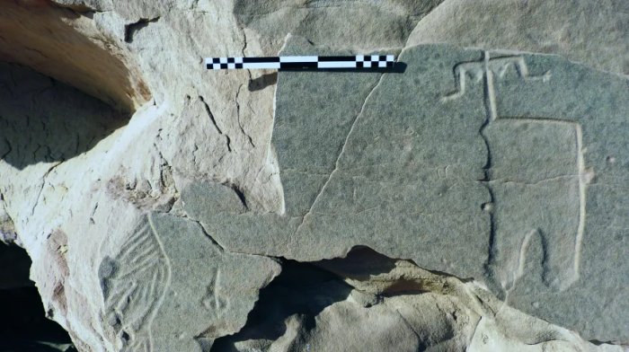 Egypt's Millennia-Old Rock Art At Risk From Climate Change - Polish Scientists Race To Document It